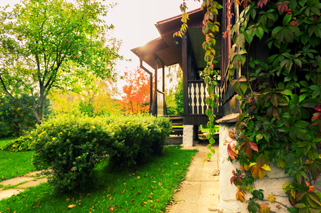 Delightful country house with blooming bunches of grapes. Mixed mediaの写真素材