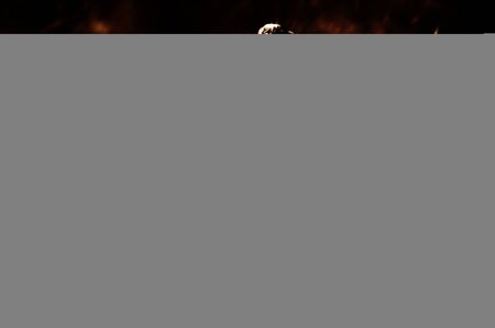 The kickboxer is disappointed with the loss and punches the floor in frustration. Mongkhon. The...