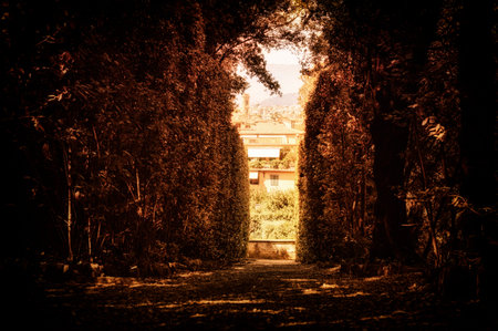 Mystical sunny alley in the Boboli Gardens. The concept of tourism, travel, fantastic beauty of...