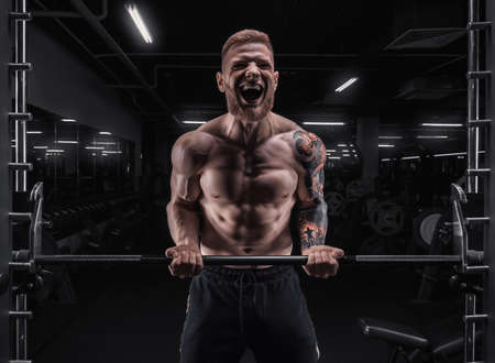 Portrait of an athlete pumping biceps in the gym. Bodybuilding and fitness concept. Mixed mediaの写真素材