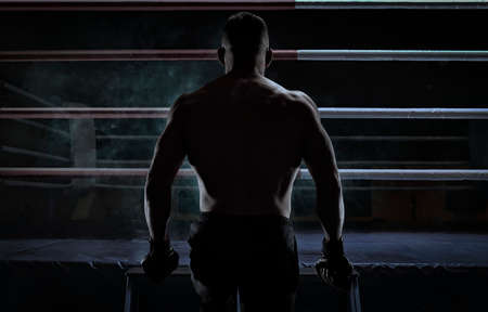 Kickboxer climbs into the ring. view from the back. sports competitions. Fight night. The concept of mixed martial arts. MMAの写真素材