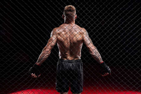 Dramatic depiction of a fighter in an octagon cage. back view. The concept of sports, Muay Thai, martial arts.の写真素材