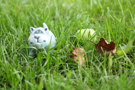 Gloomy cat in the grassの写真素材