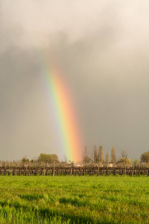 Rainbowの写真素材