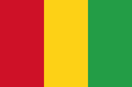 Flag of Guinea (Africa) - vectorのイラスト素材