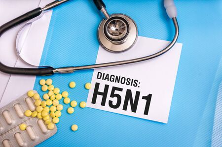 H5N1 word written on medical blue folder with patient files, pills and stethoscope on backgroundの写真素材