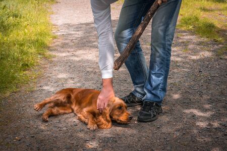 Man holds a stick in hand and he wants to hit the dog - dog abuseの写真素材