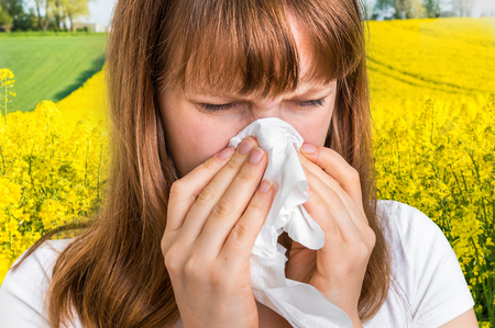 Woman with allergy on yellow rape field sneezing in tissue - blooming rapeseed field and allergyの写真素材