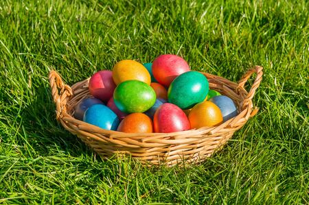 Colorful eggs in a basket on the green grassの写真素材
