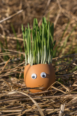 Happy egg family on the soil, Easter