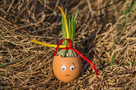 Happy egg family on the soil, Easterの写真素材