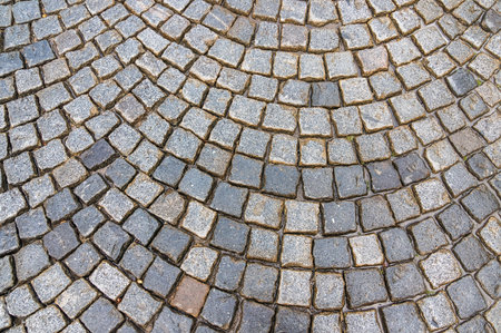 Grey cobblestone pavement after the rain in the Czech Republic