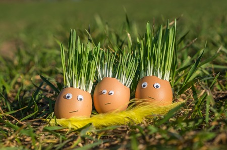 Happy egg family on the soil, Easterの写真素材