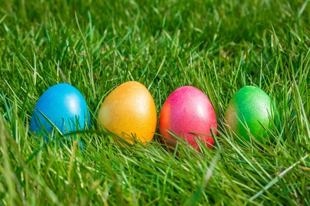 Colorful Easter eggs on a green grassの写真素材