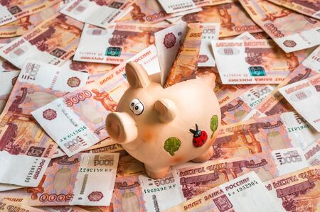 Piggy bank in a pile of russian five thousand banknotes, money backgroundの写真素材