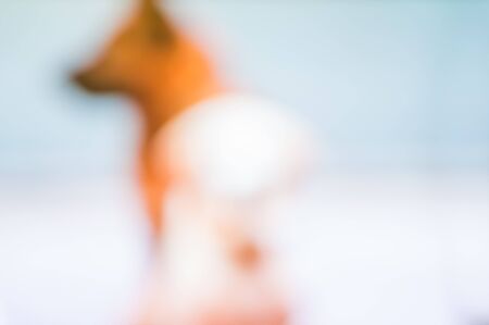 Abstract colorful blurred background, decoration color wallpaperの写真素材
