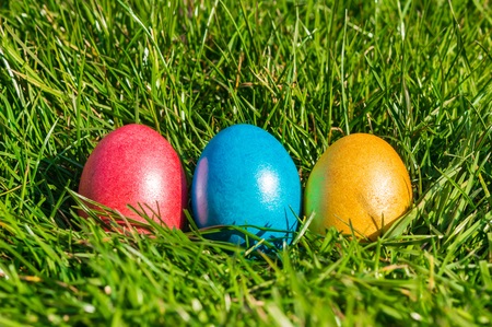 Colorful Easter eggs on a green grassの写真素材
