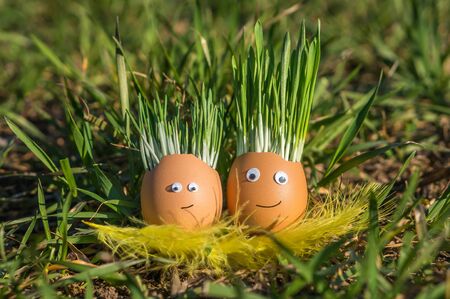 Happy egg family on the soil, Easterの写真素材