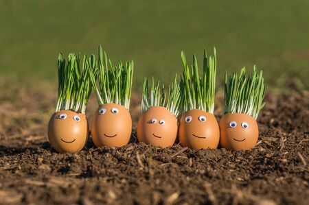 Happy egg family on the soil, Easterの写真素材
