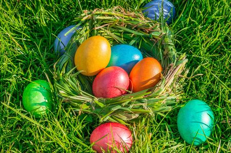 Nest with colored eggs on the green grassの写真素材