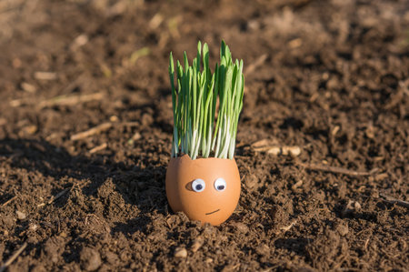 Happy egg family on the soil, Easter