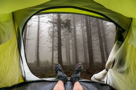 View from inside a tent on a fog in the haunted green forest in summerの写真素材