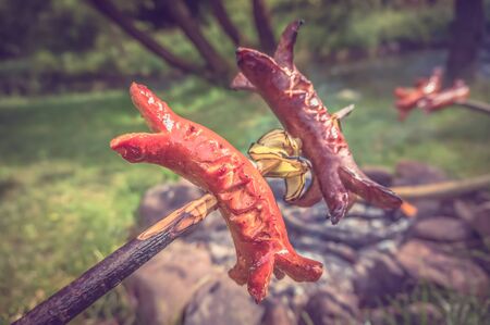 Grilled sausages on the hearth in nature - retro and vintage styleの写真素材