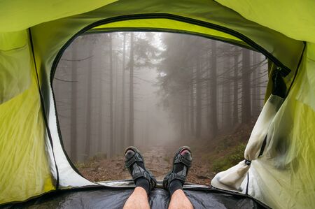View from inside a tent on a fog in the haunted green forest in summerの写真素材
