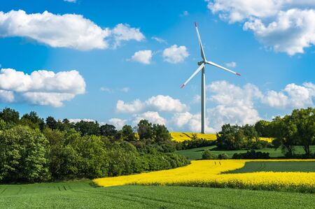 Wind turbine in a rapeseed field, ECO energy powerの写真素材