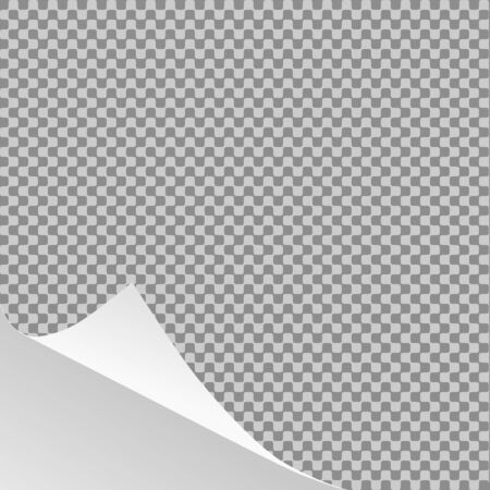 Curled paper sheet corner or page curl with shadow on transparent background - vector graphicのイラスト素材