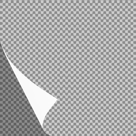 Curled paper sheet corner or page curl with shadow on transparent background - vector graphicのイラスト素材