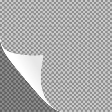Curled paper sheet corner or page curl with shadow on transparent background - vector graphicのイラスト素材