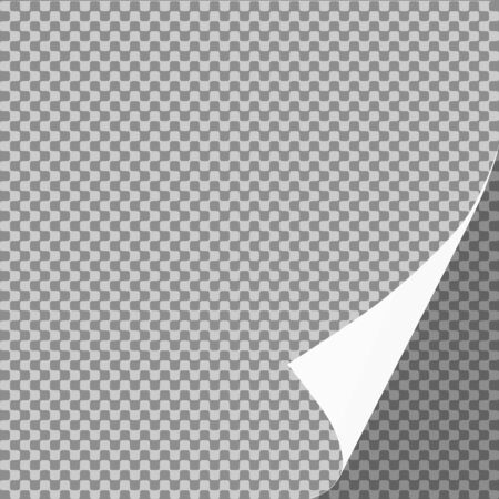 Curled paper sheet corner or page curl with shadow on transparent background - vector graphicのイラスト素材