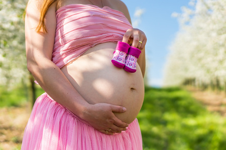 Belly of a pregnant girl and small booties in the blooming fruit gardenの写真素材
