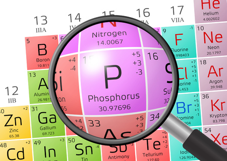 Phosphorus from Periodic Table of the Elements with magnifying glassの写真素材