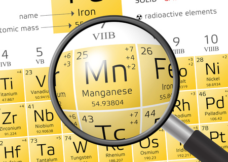 Manganese from Periodic Table of the Elements with magnifying glassの写真素材