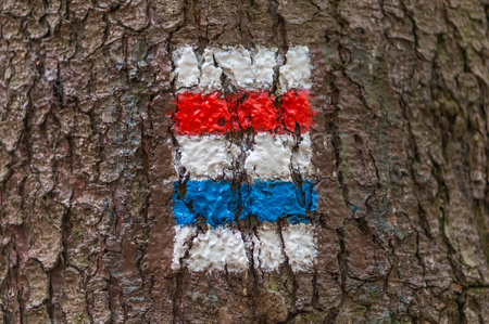 Colorful tourist sign or mark on tree for hiking tourism in a forestの写真素材