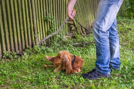 Man holds a stick in hand and he wants to hit the dog - dog abuseの写真素材