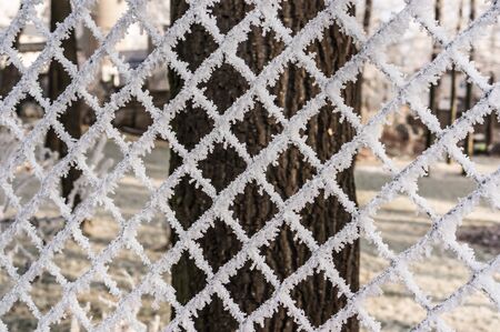 Winter scene of a wire fence completely covered with frostの写真素材