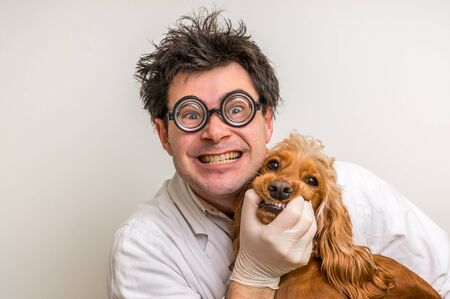 Crazy veterinarian and funny smiling dog - animal and pet veterinary care conceptの写真素材