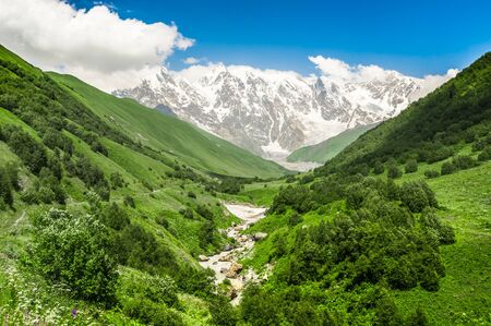 Mountain stream and snow-capped mountains in Georgia (Svaneti)の写真素材