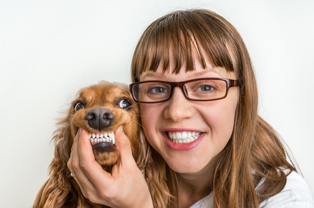 Funny smiling dog and veterinarian in veterinary clinic - animal and pet veterinary care conceptの写真素材