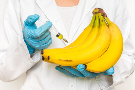 GMO scientist injecting liquid from syringe into bananas - genetically modified food conceptの写真素材
