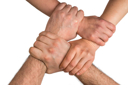 Four human arms crossed and holding together - teamwork concept