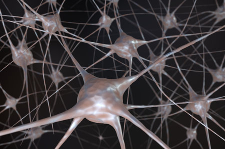Nerve cells in brain. 3D rendered illustration.