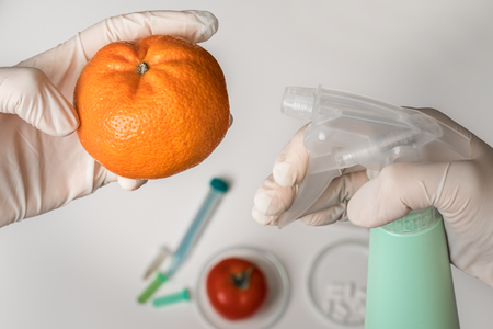 GMO scientist is spraying liquid on tangerine - genetically modified food conceptの写真素材