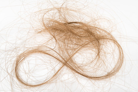 Pile of brown hair isolated on white - hair loss, hair fall concept