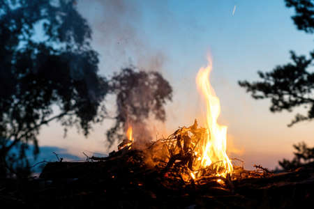 Campfire on a cliff by the rock next to several treesの写真素材