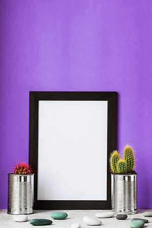 mock up black frame with green and yellow cactus in metal pots and stones on grey cement floof and...
