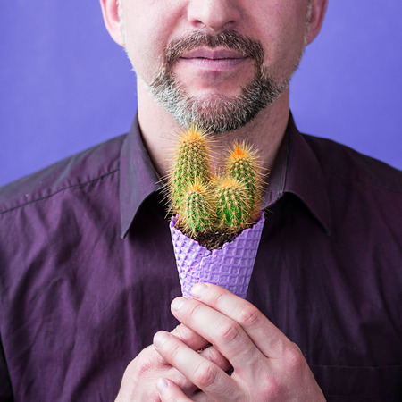 Men in violet shirt with beard holds in hands violet corn with green cactus with yellow needles instead of ice cream Man on the violet background. Concept illustrates troules in personal communicationの写真素材